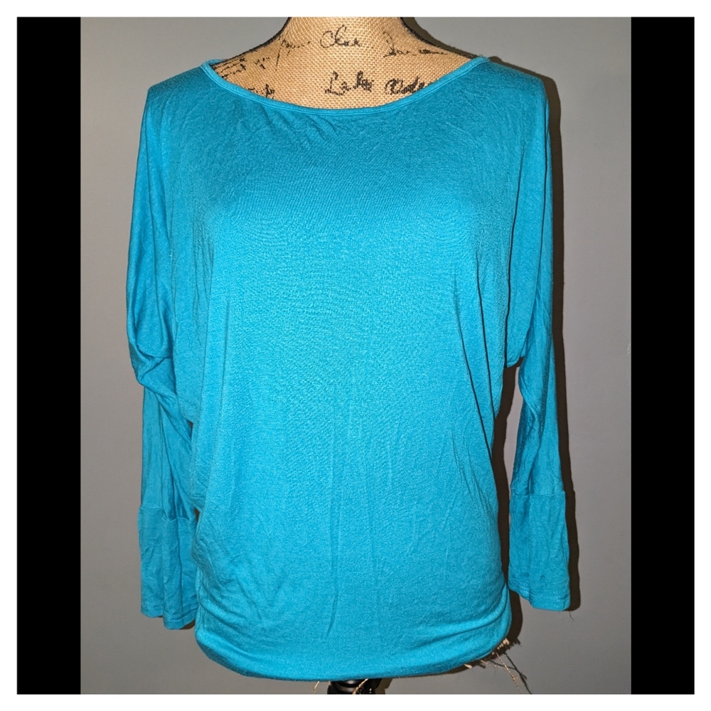 Express blouse size large